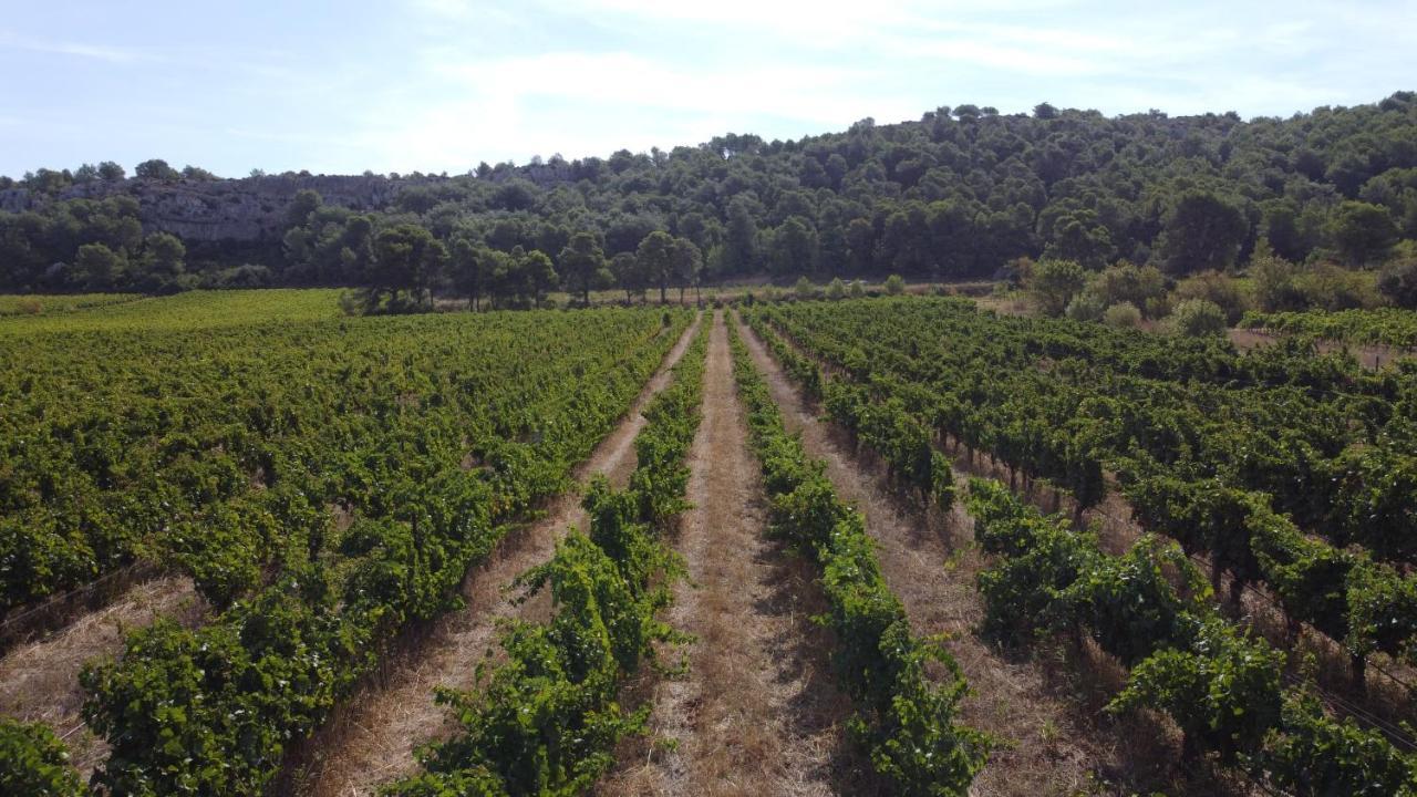 Domaine De La Ramade *