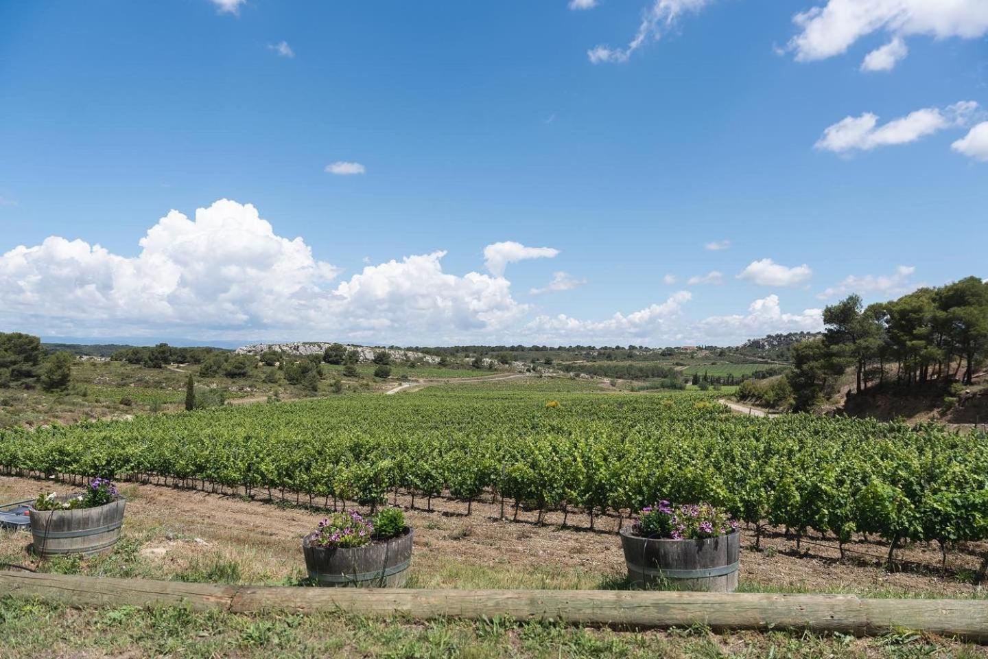 Domaine De La Ramade Bed and breakfast