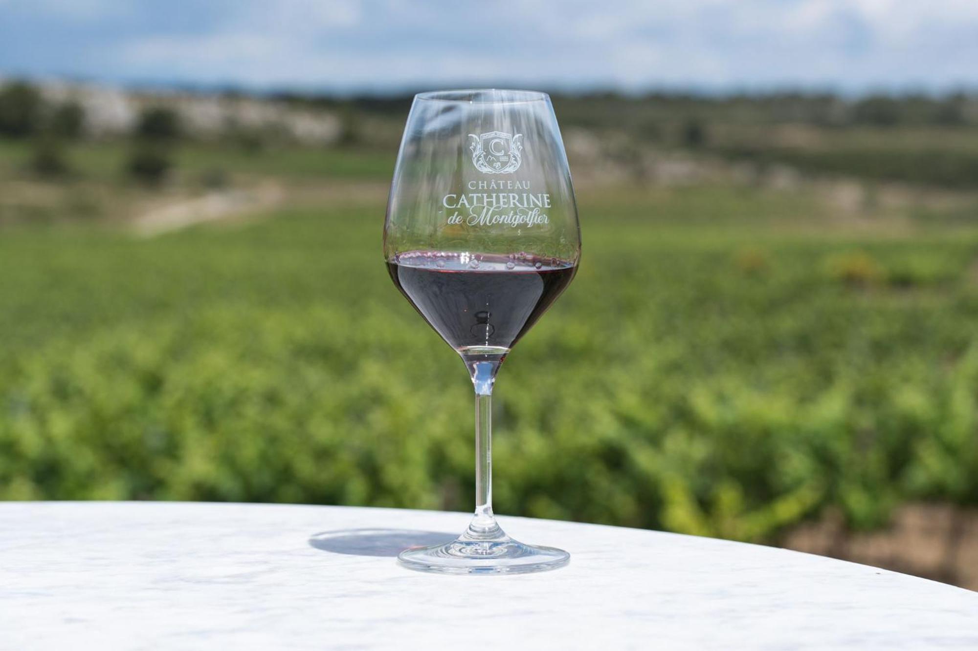 Domaine De La Ramade * Narbona
