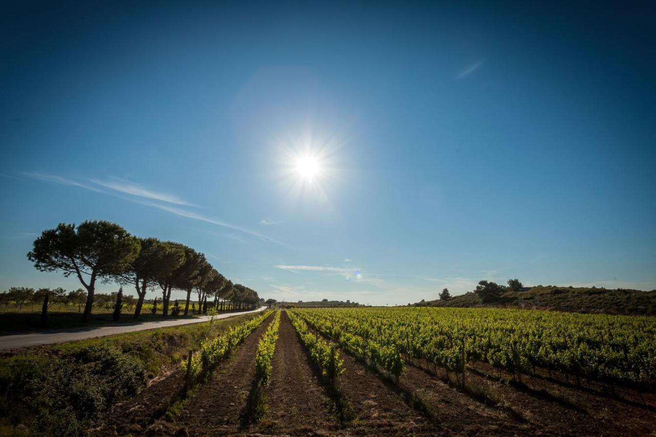 Bed and breakfast Domaine De La Ramade Narbona